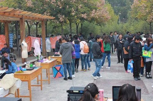 藝術(shù)之光閃耀校園 周末文化廣場活動開幕，推動國內(nèi)文化藝術(shù)交流新篇章