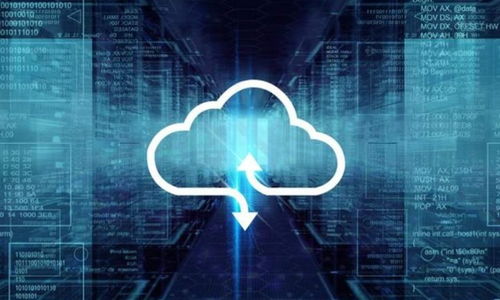 新紐科技 軟件賽道的新星，能否在SaaS領(lǐng)域一騎絕塵？